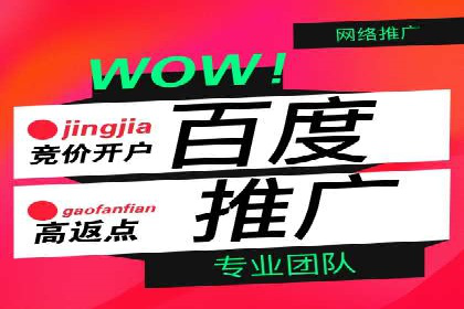 竞价广告的智能投放：XX平台的创新实践
